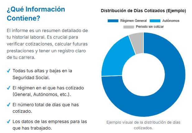 contenido del informe de la vida laboral