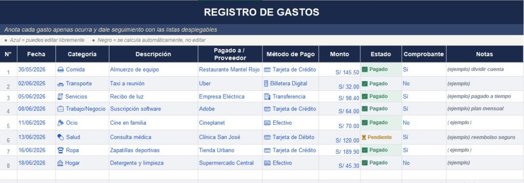 registro gastos